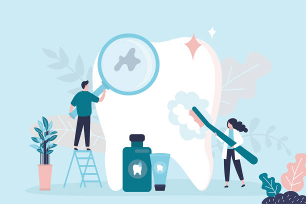 Best Preventive Dentistry  in Orange Lake, NY